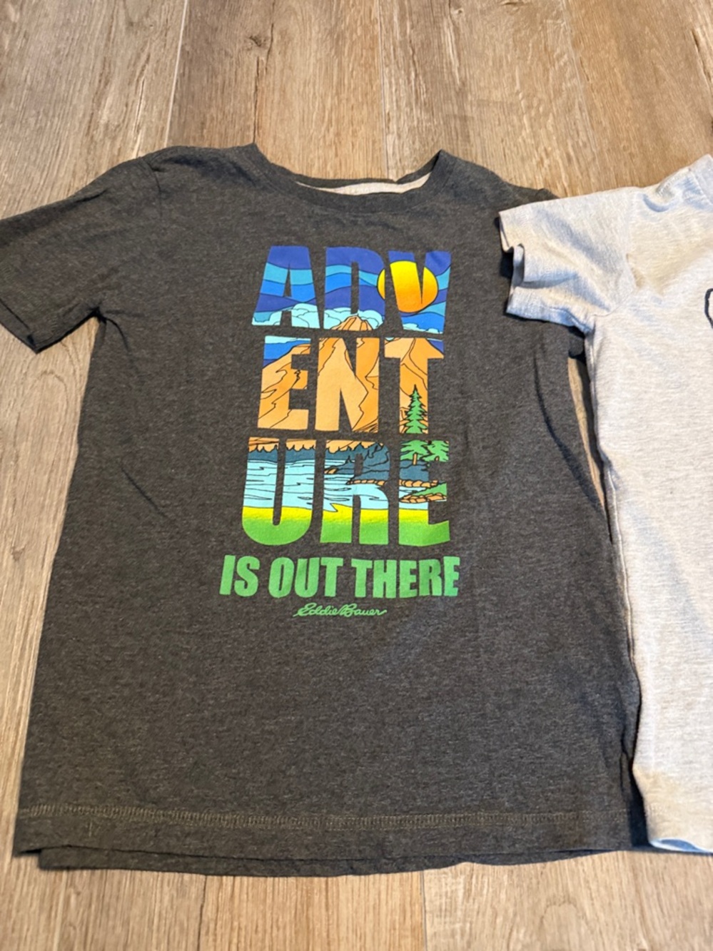 Eddie Bauer Boys' Short-Sleeve Graphic Tees - Charcoal & Light Gray - Picture 2 of 5